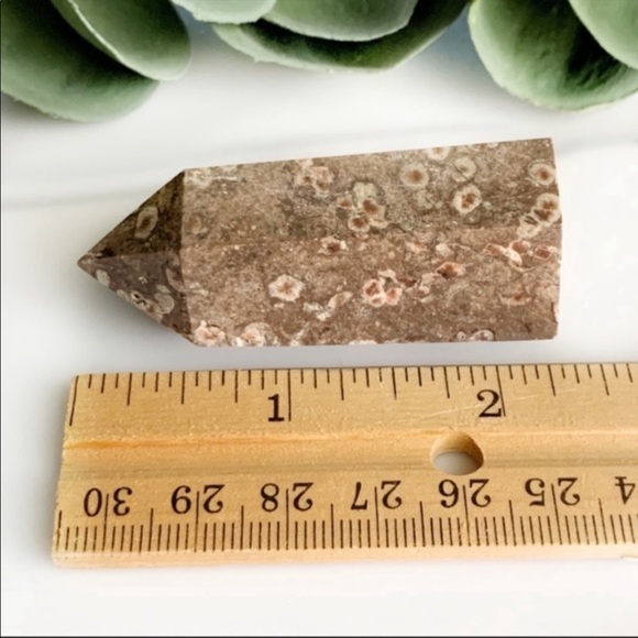 Jasper | Fish Eye - Picture 3 of 4